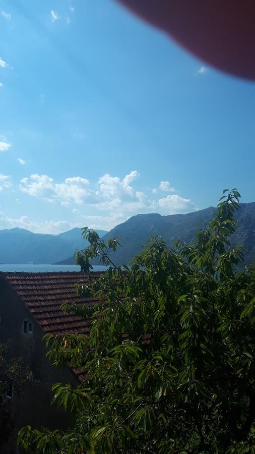 Apartments Katarina Kotor Buitenkant foto